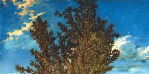 detail of sky and tree