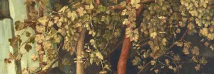 close up of leaves
